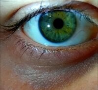 erdestruttor18's webcam live show