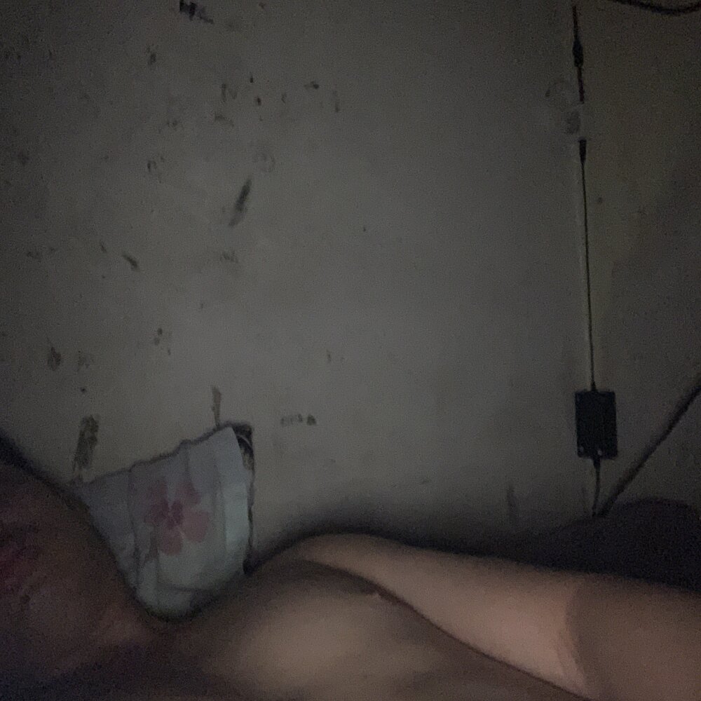 elpapi0204 profile