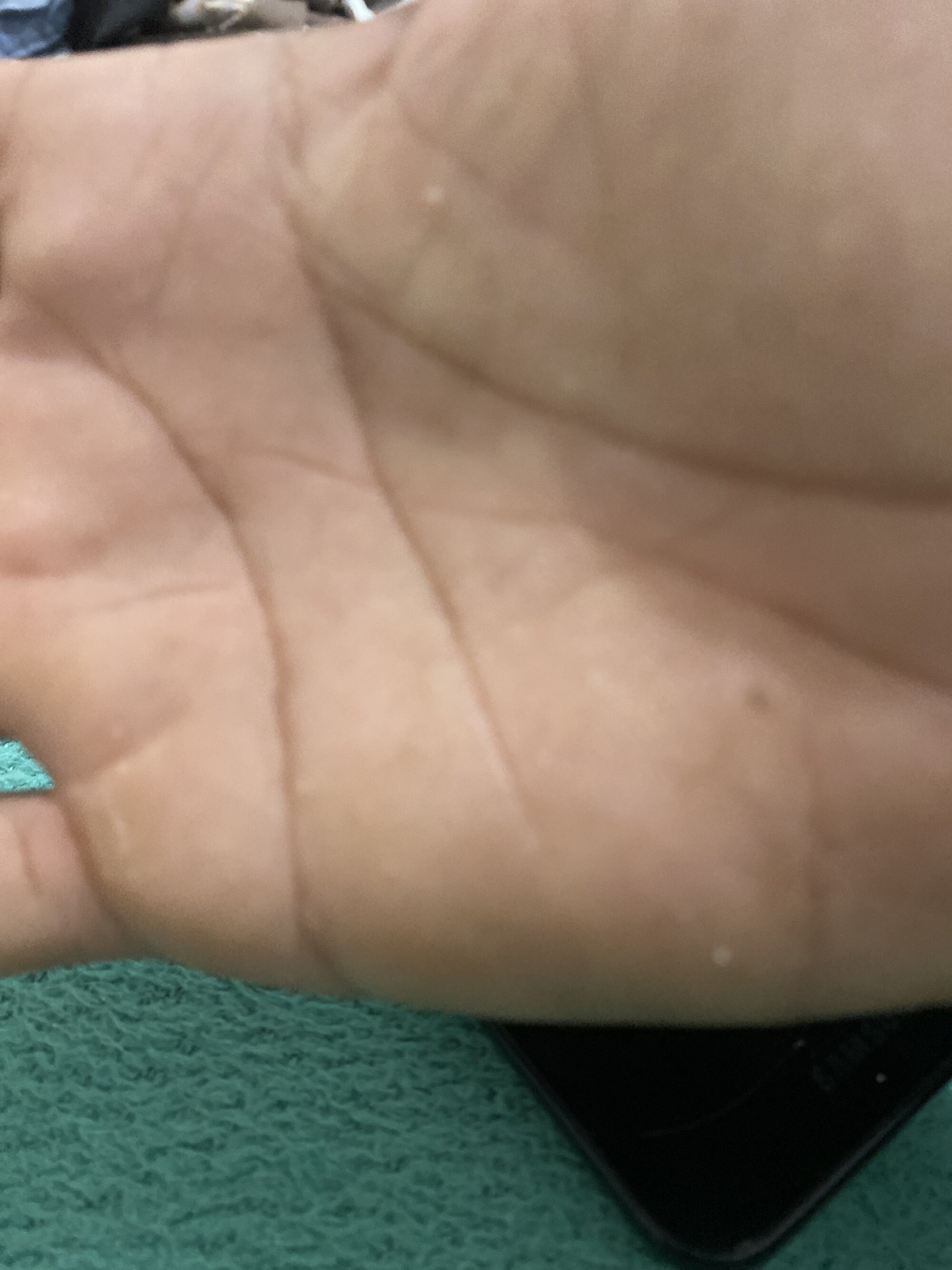 25cm66