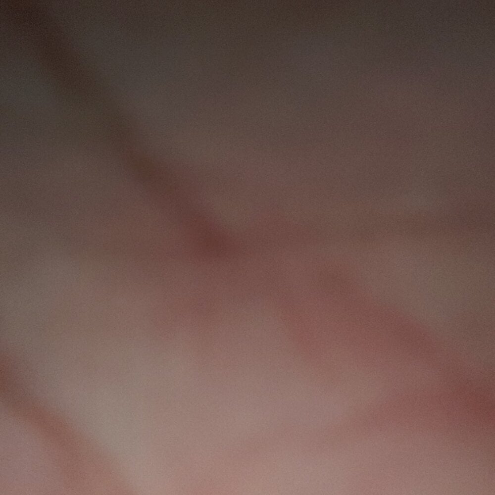 princeragn4r