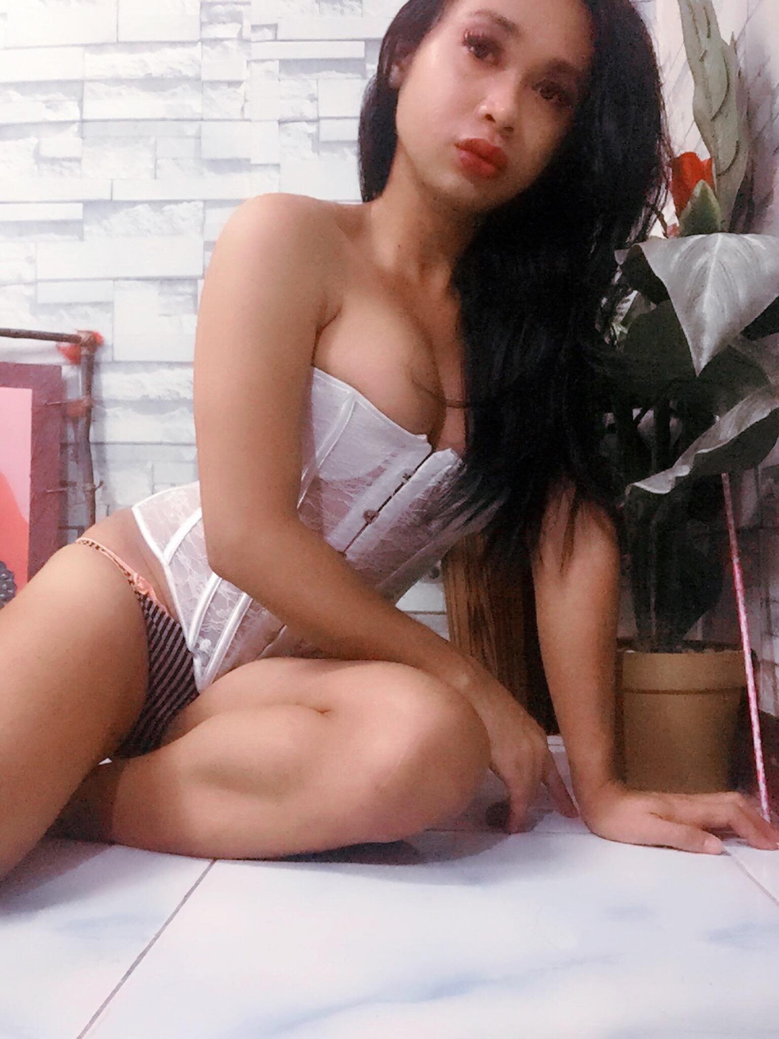 24cmCumpalmer