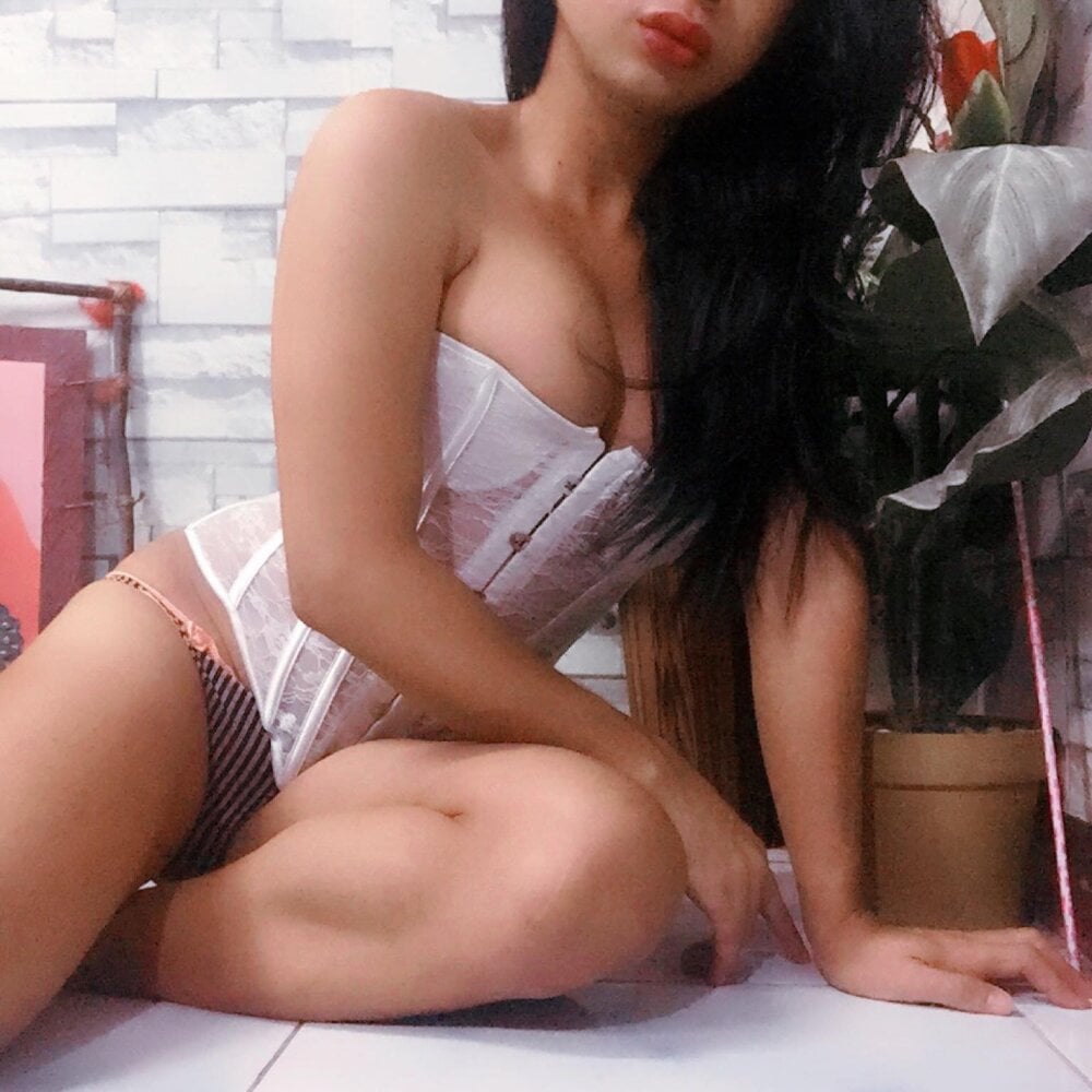 24cmCumpalmer profile