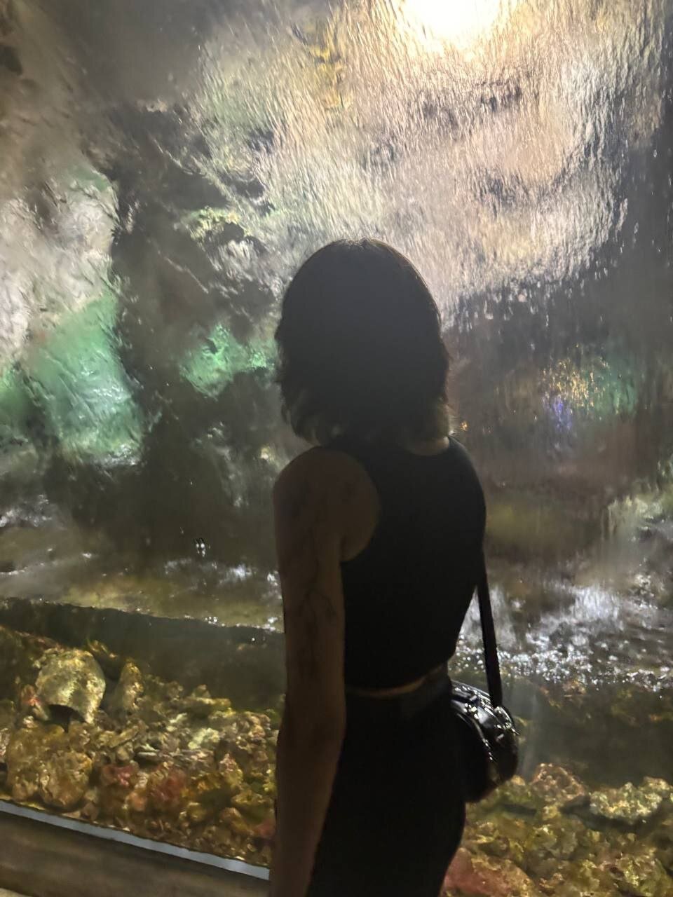 DorieDukich