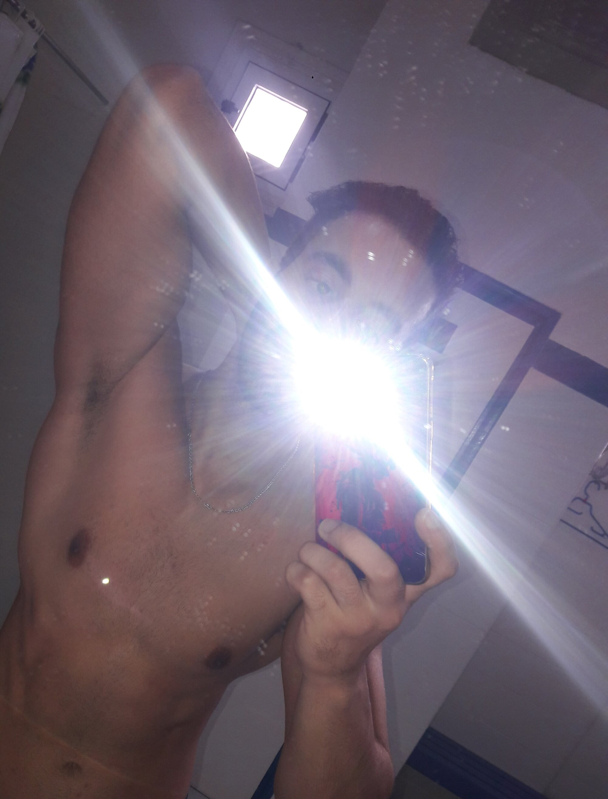 The-Arabian-Cock