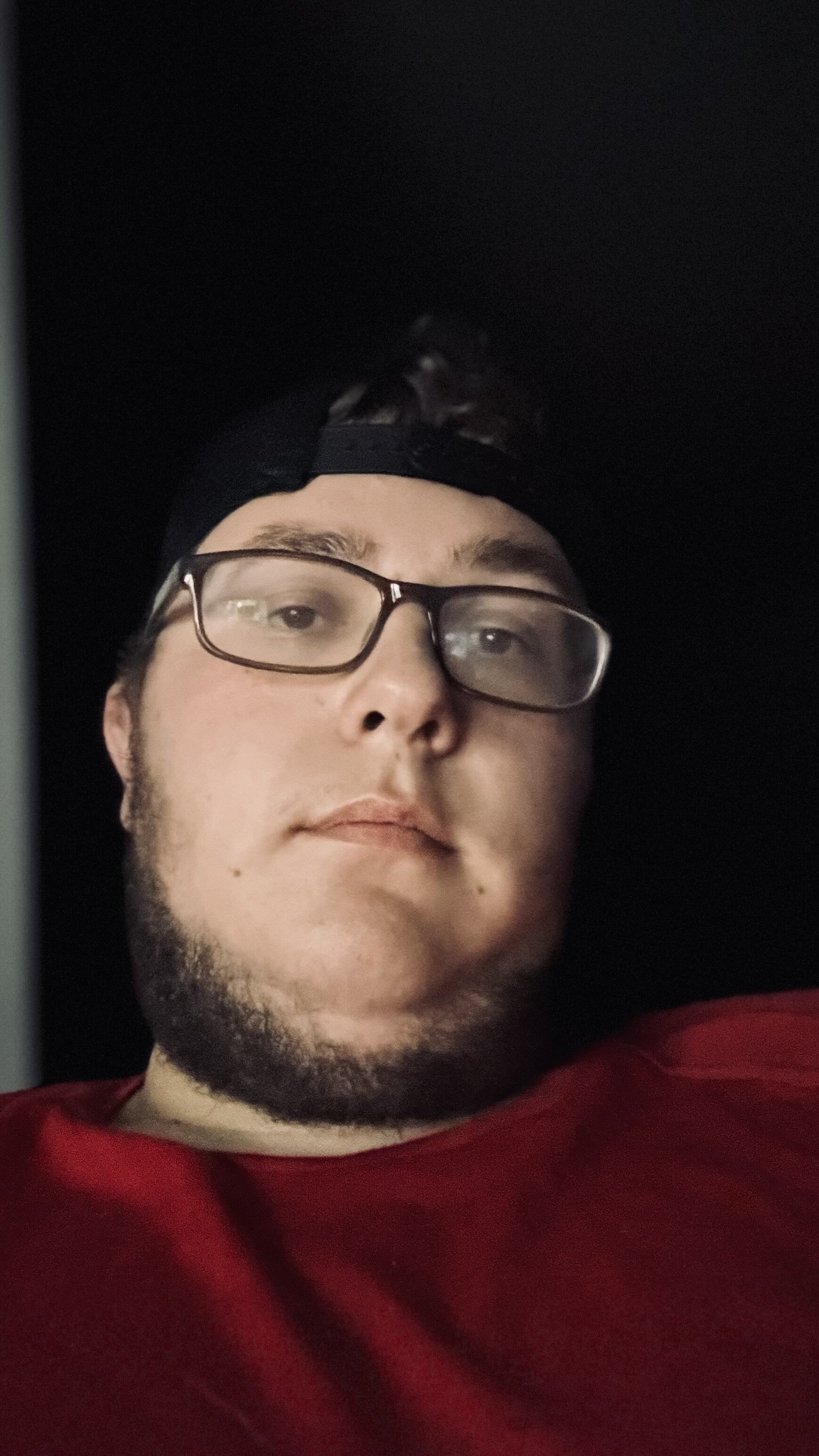bigDog231