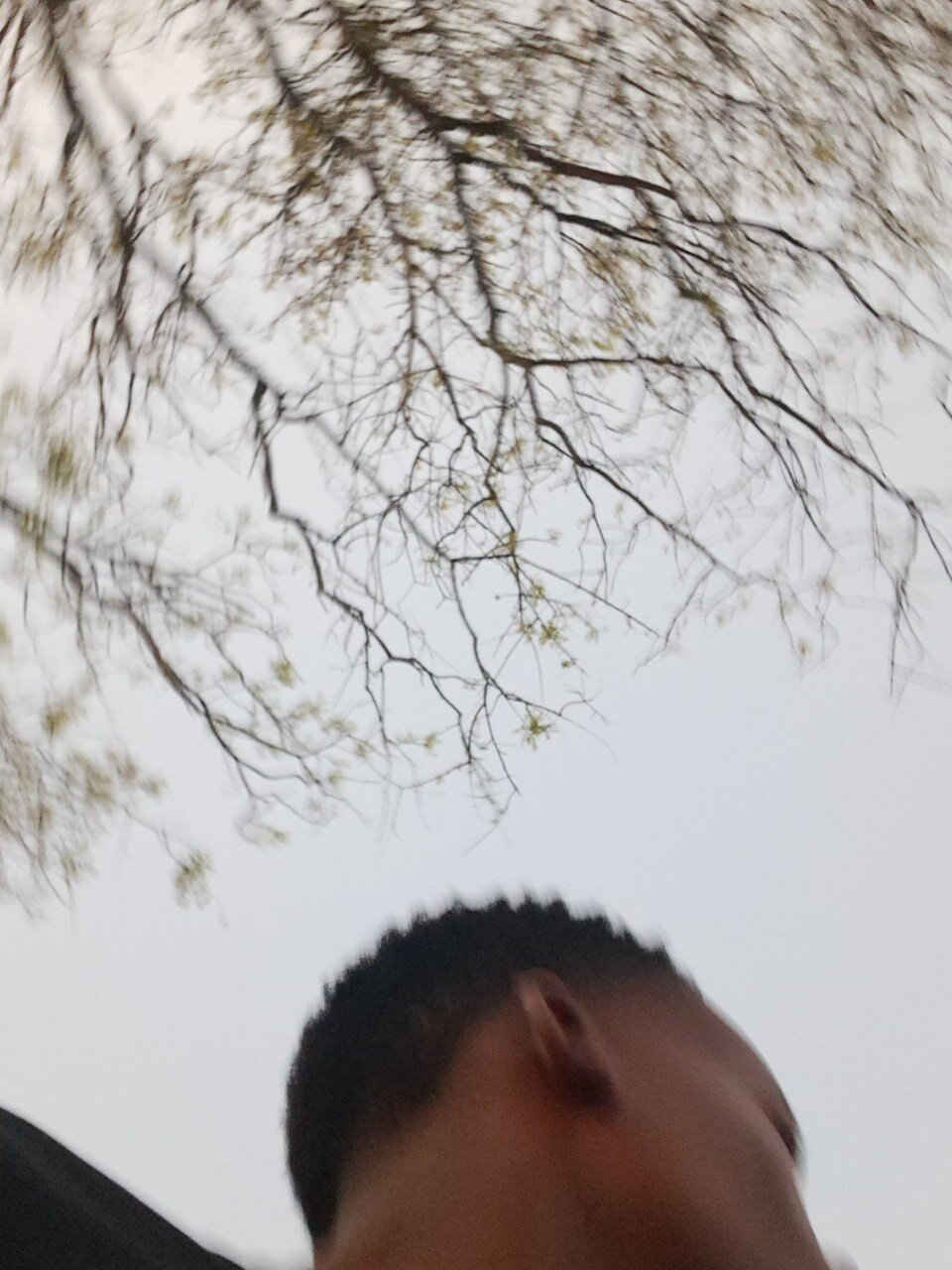 thiefre