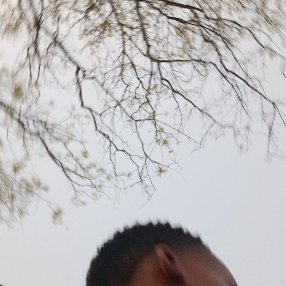 thiefre from stripchat