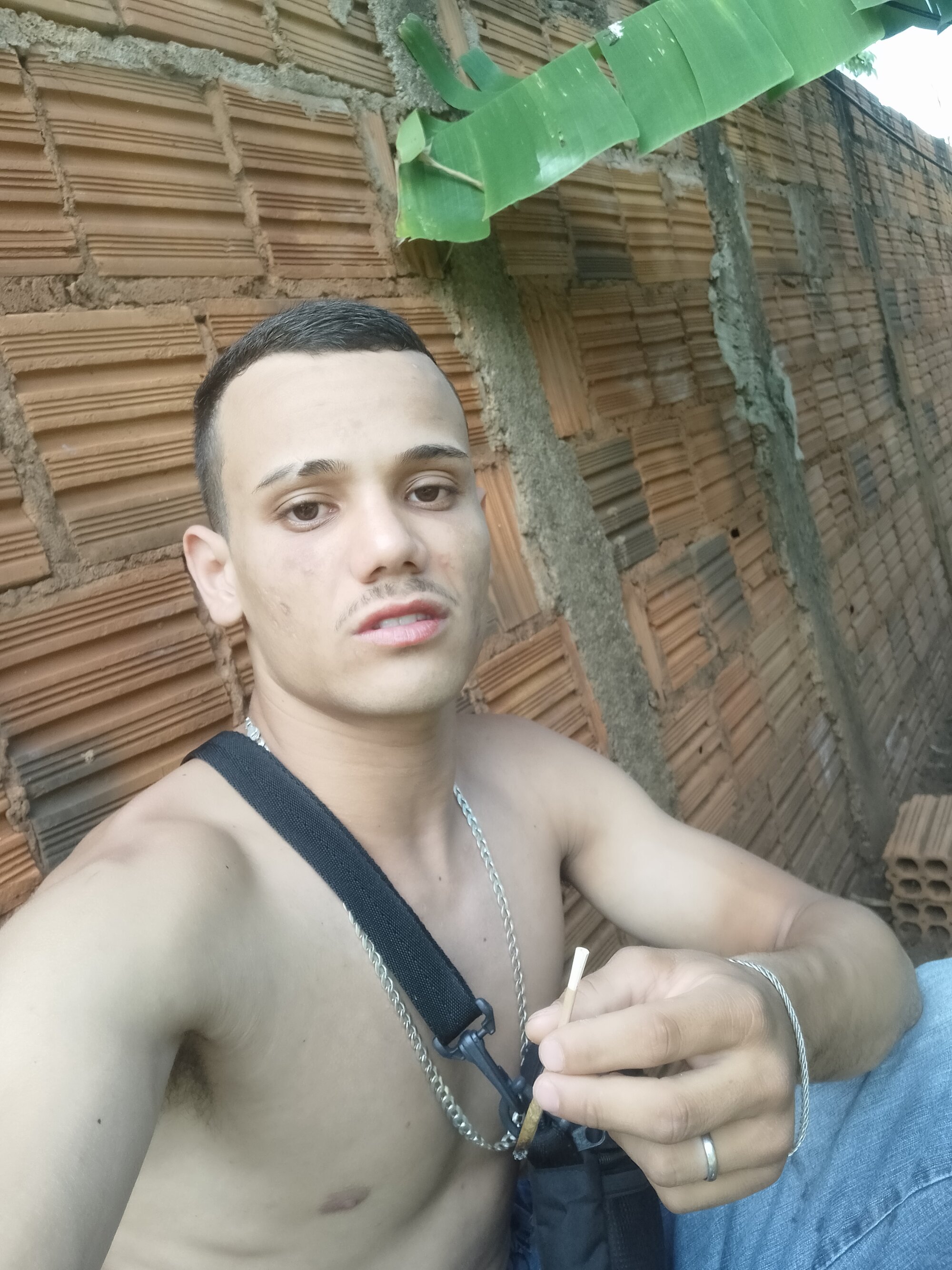 novinhotesudo27328