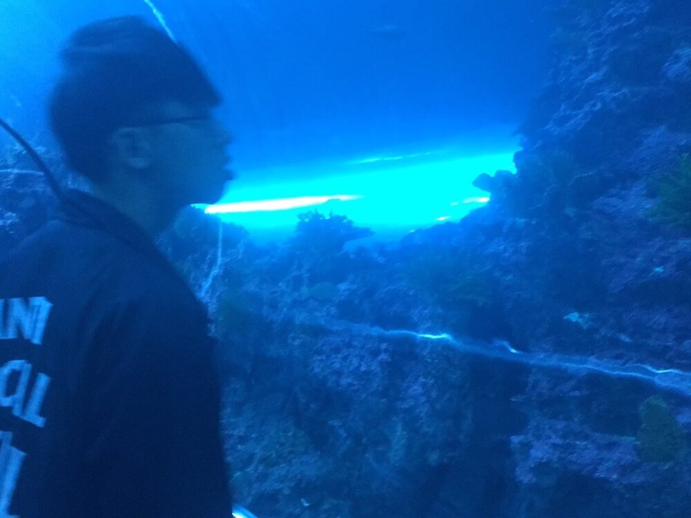 Alvin__Lin's Offline XXX Chat