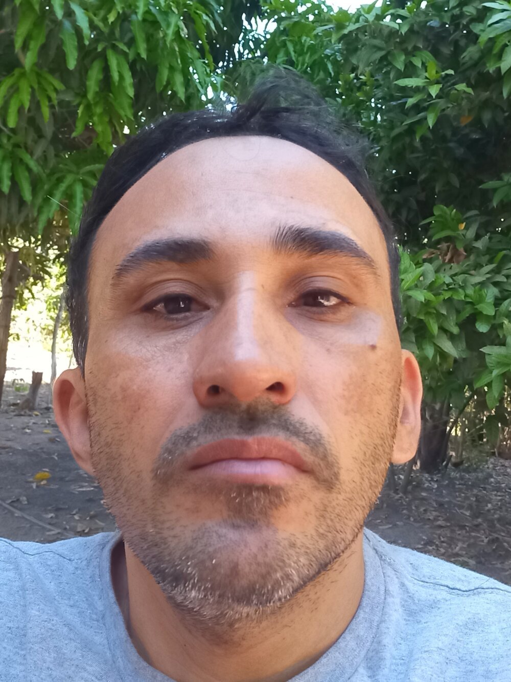 gomesmo from stripchat