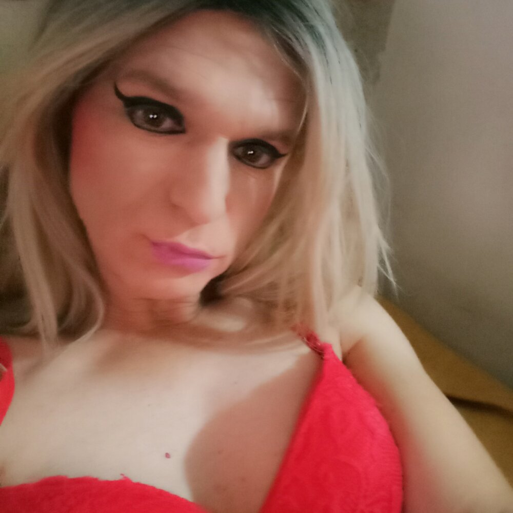 SabryTRAV 离线聊天室