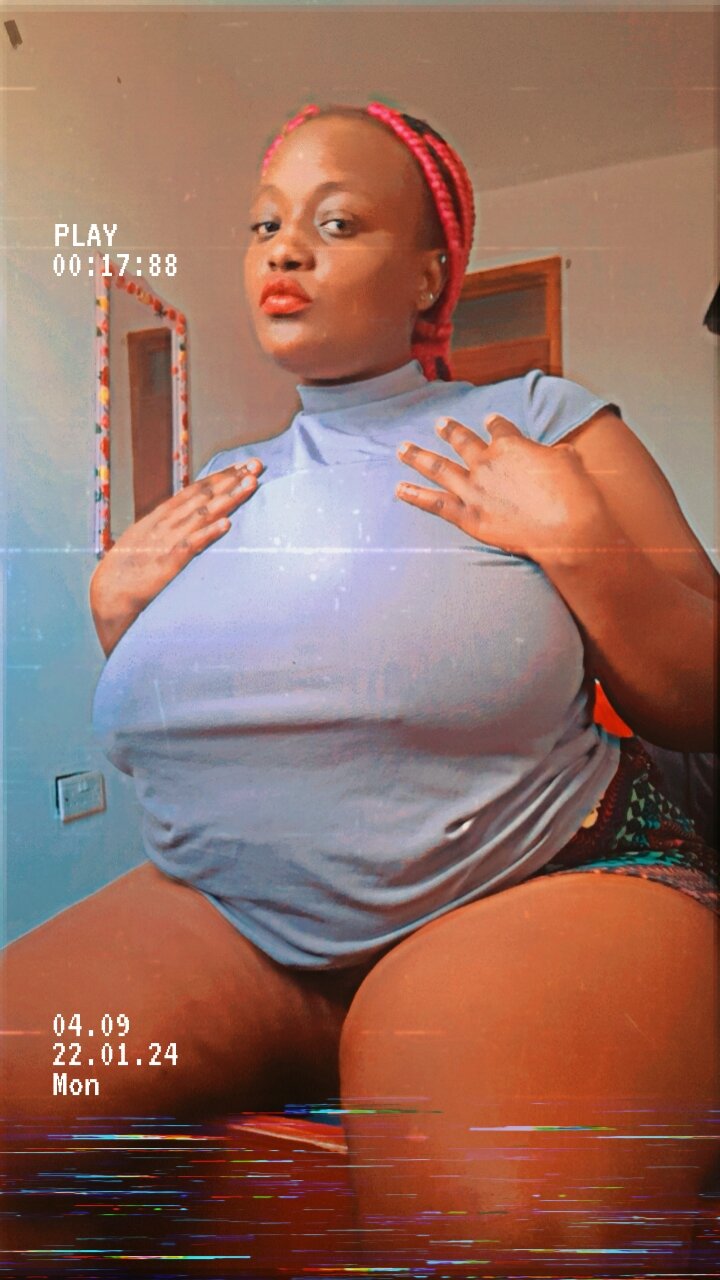 hollythickness