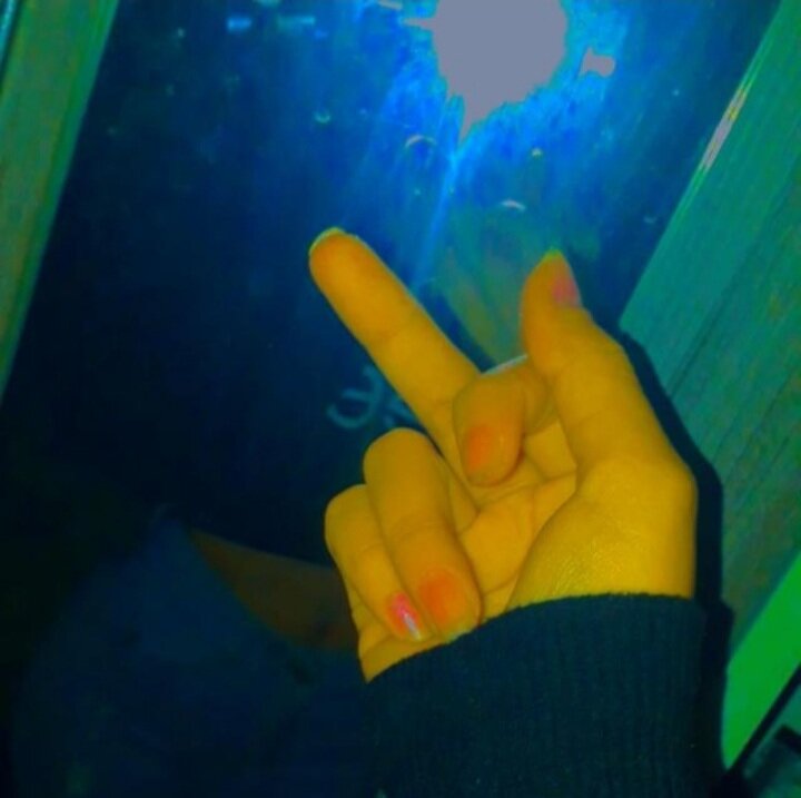 buscounachicapaculiar