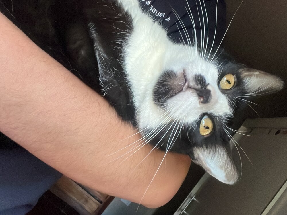 cazadornocturno1997's Offline XXX Chat