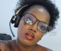 Модель Ashaichious