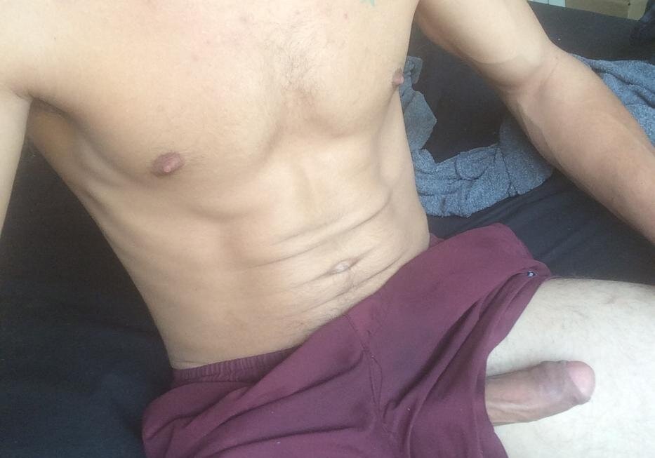 Latino_Bull