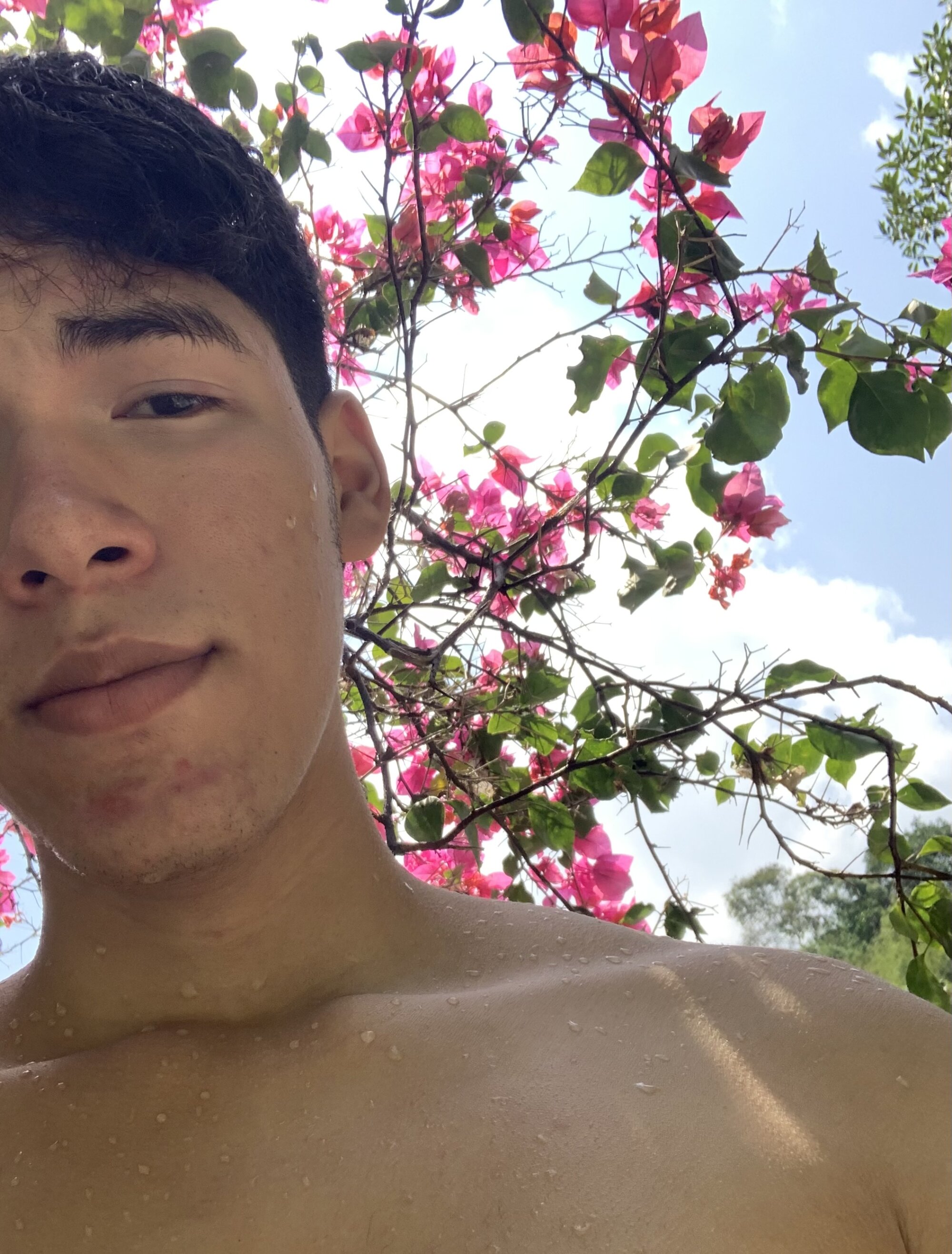 sex_andrade