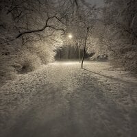 Bi1995's webcam live show