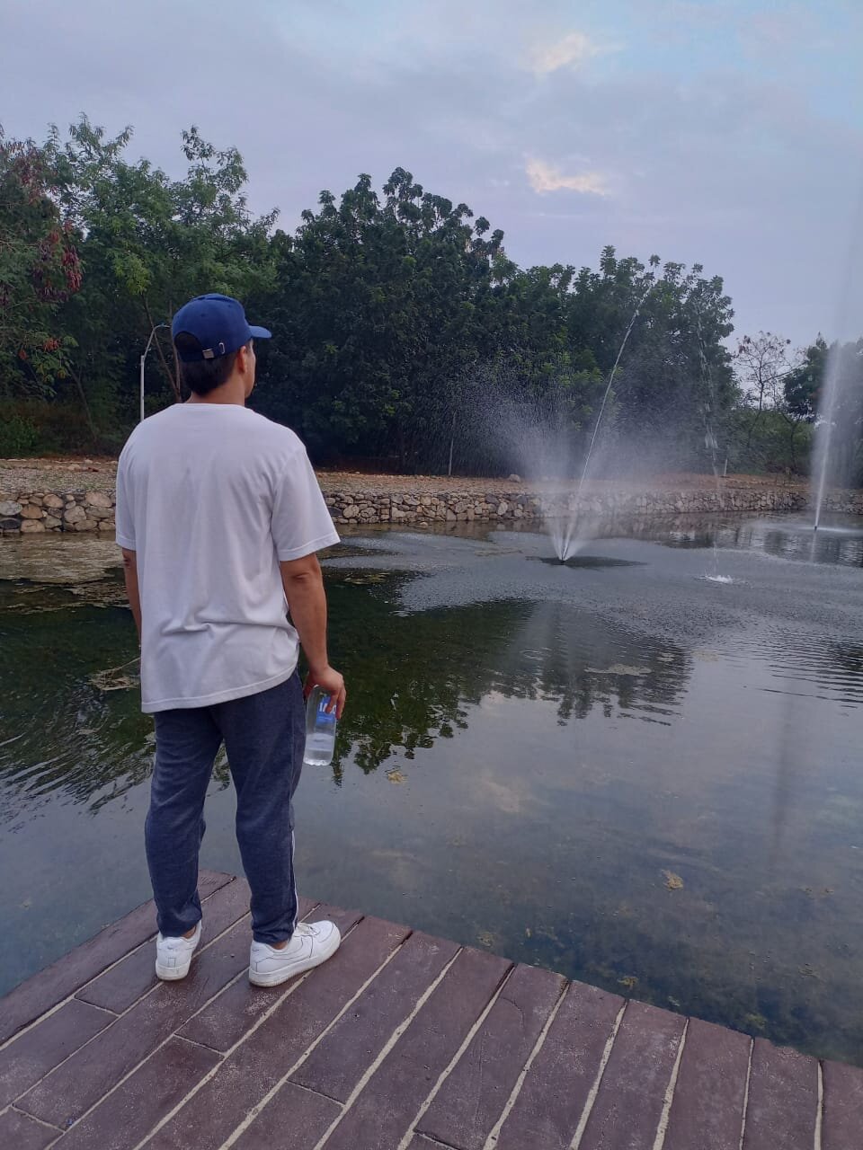 grisco_foxxi