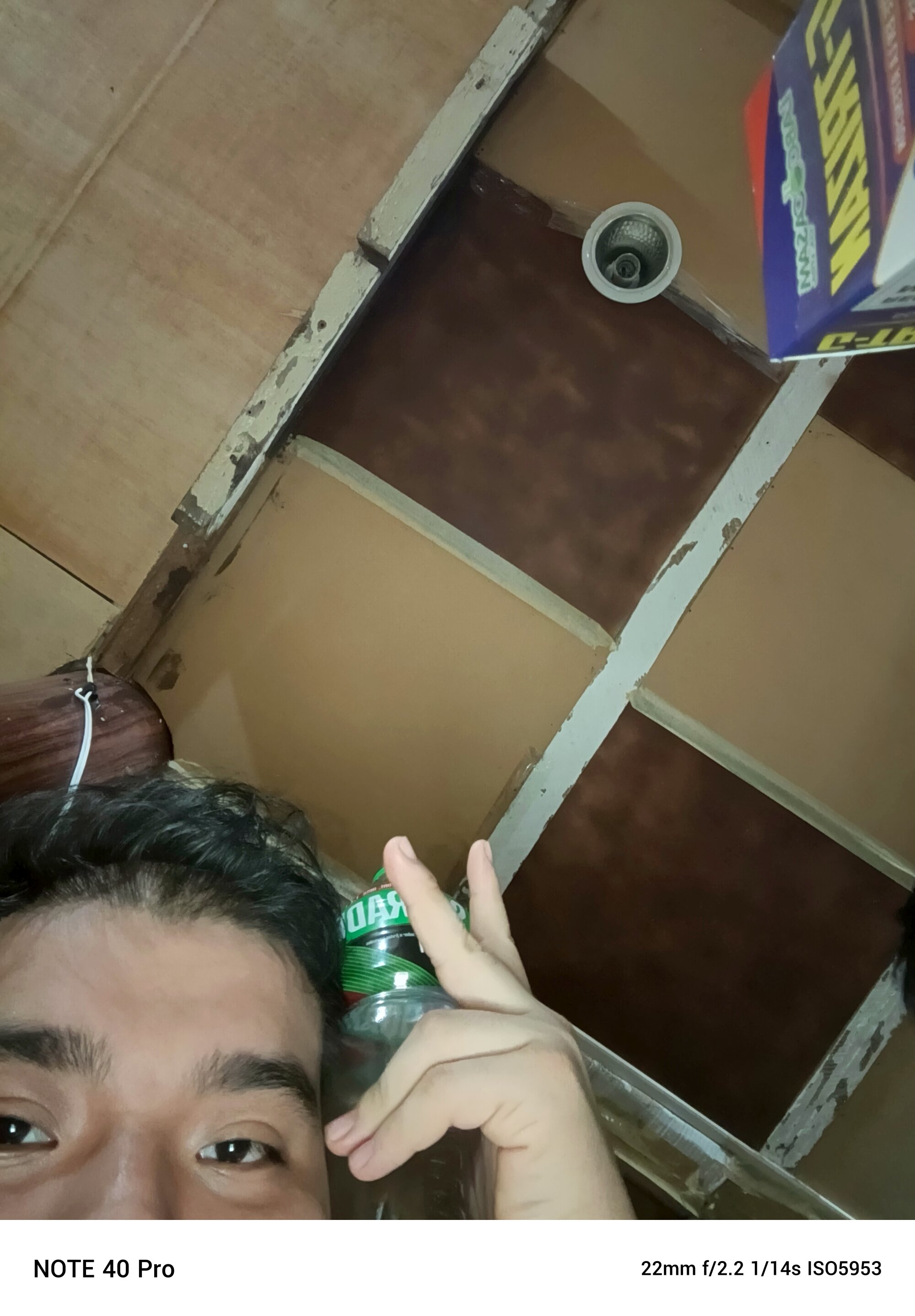 Luisf203