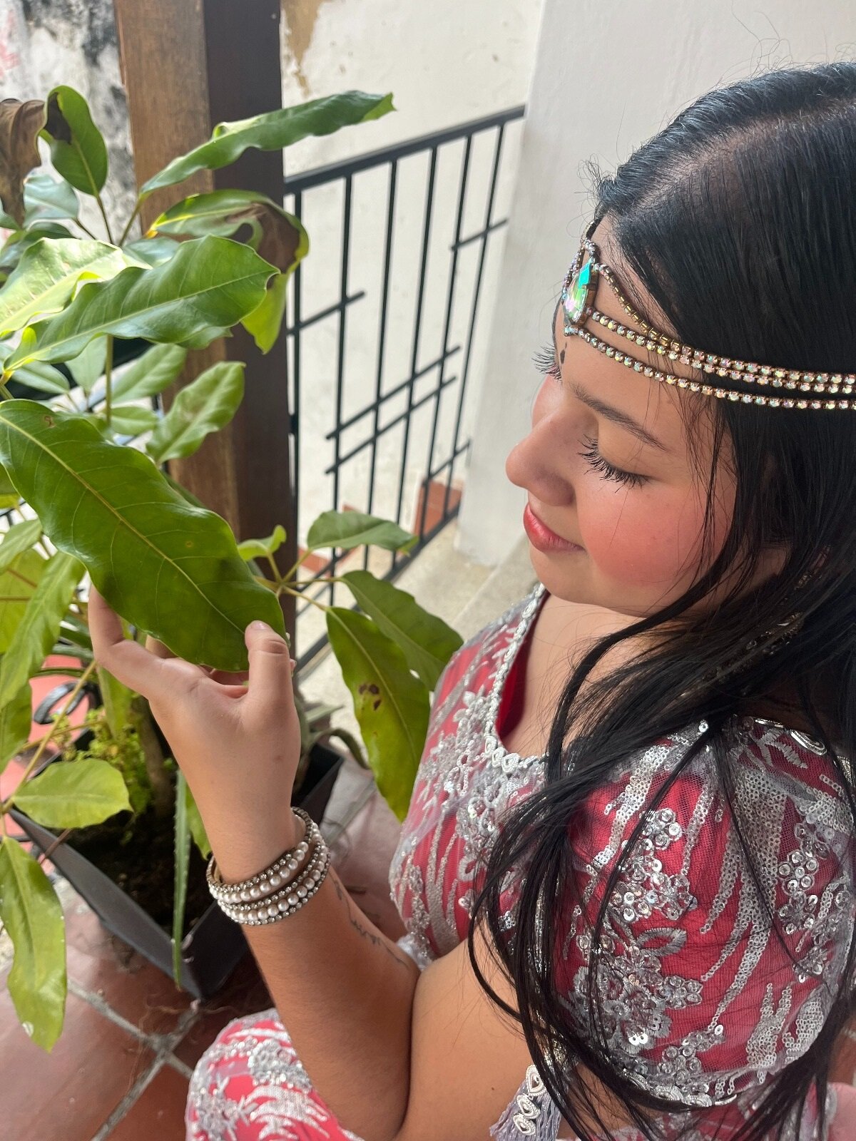 parul_trayi