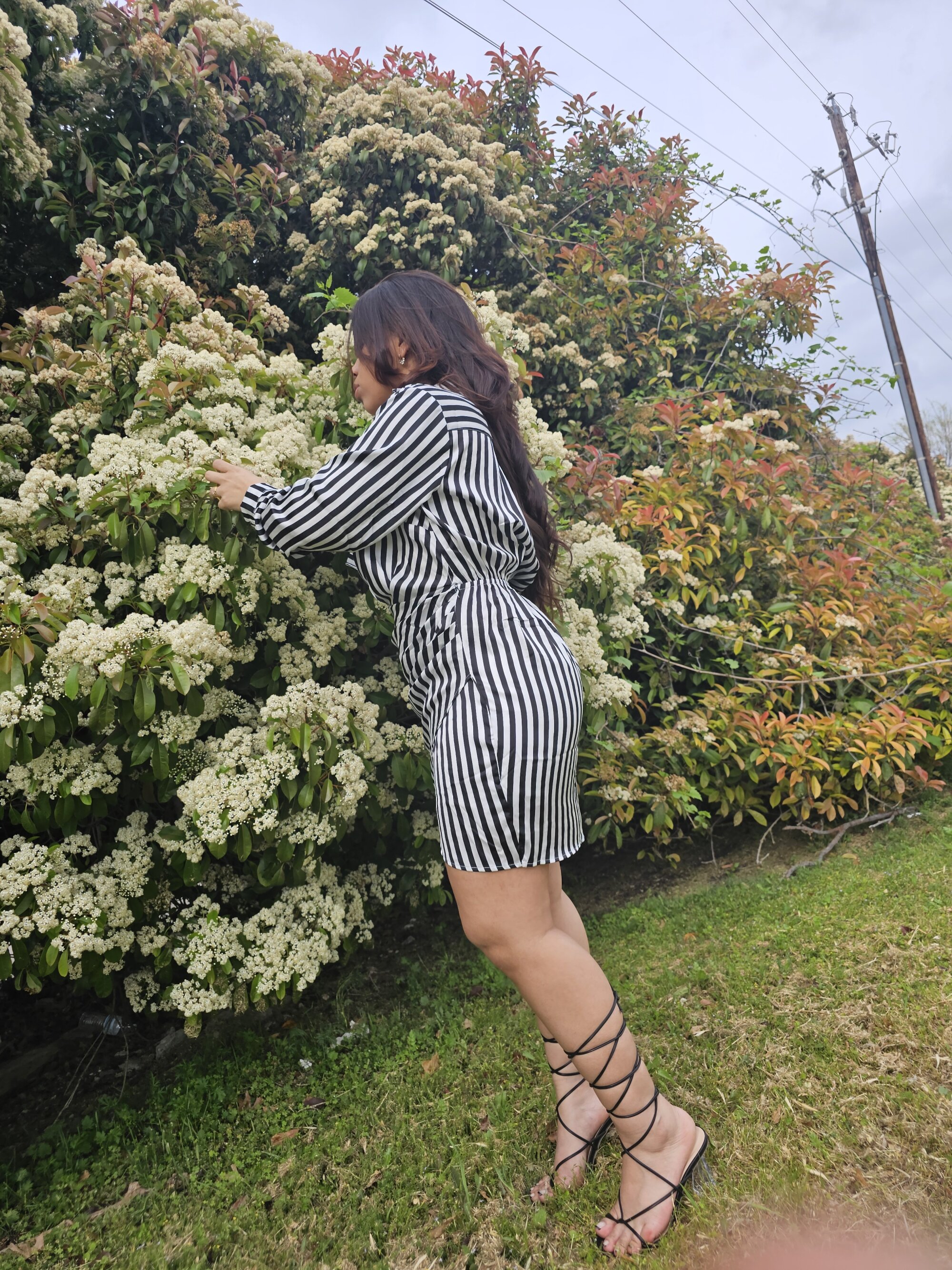 Bella_B_