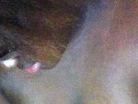 -Yagurlwest Webcam Model Profile