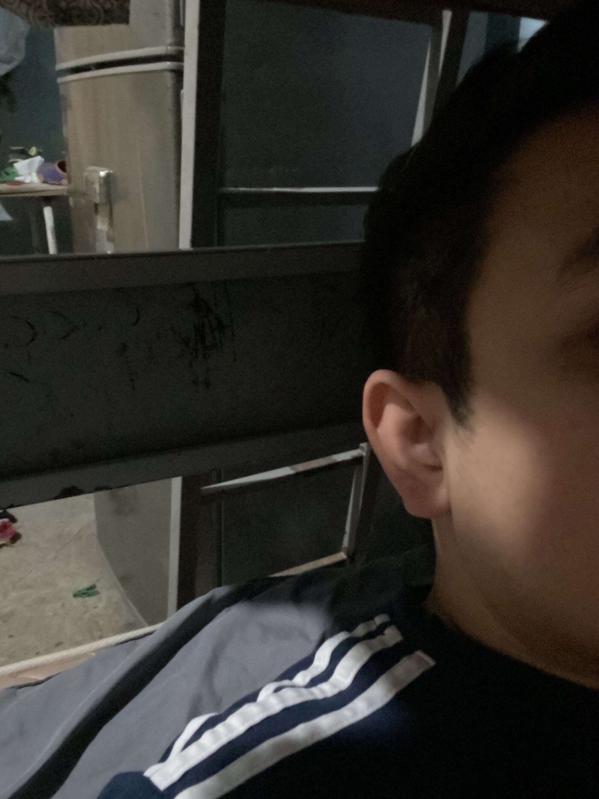 lozraul26