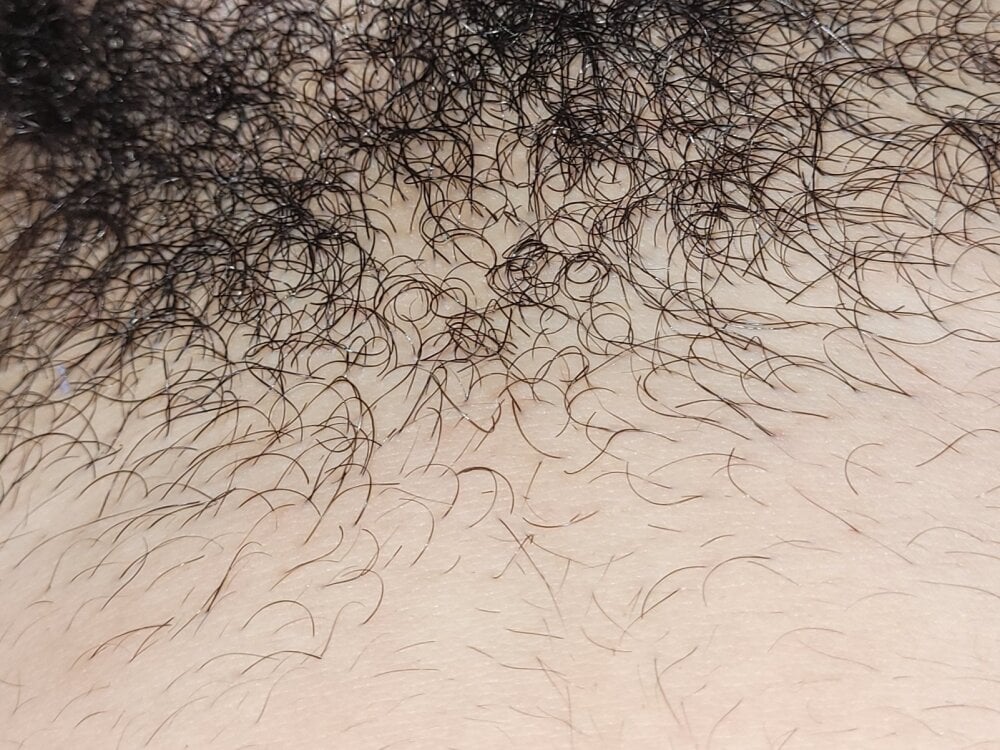 gaybrelzin from stripchat