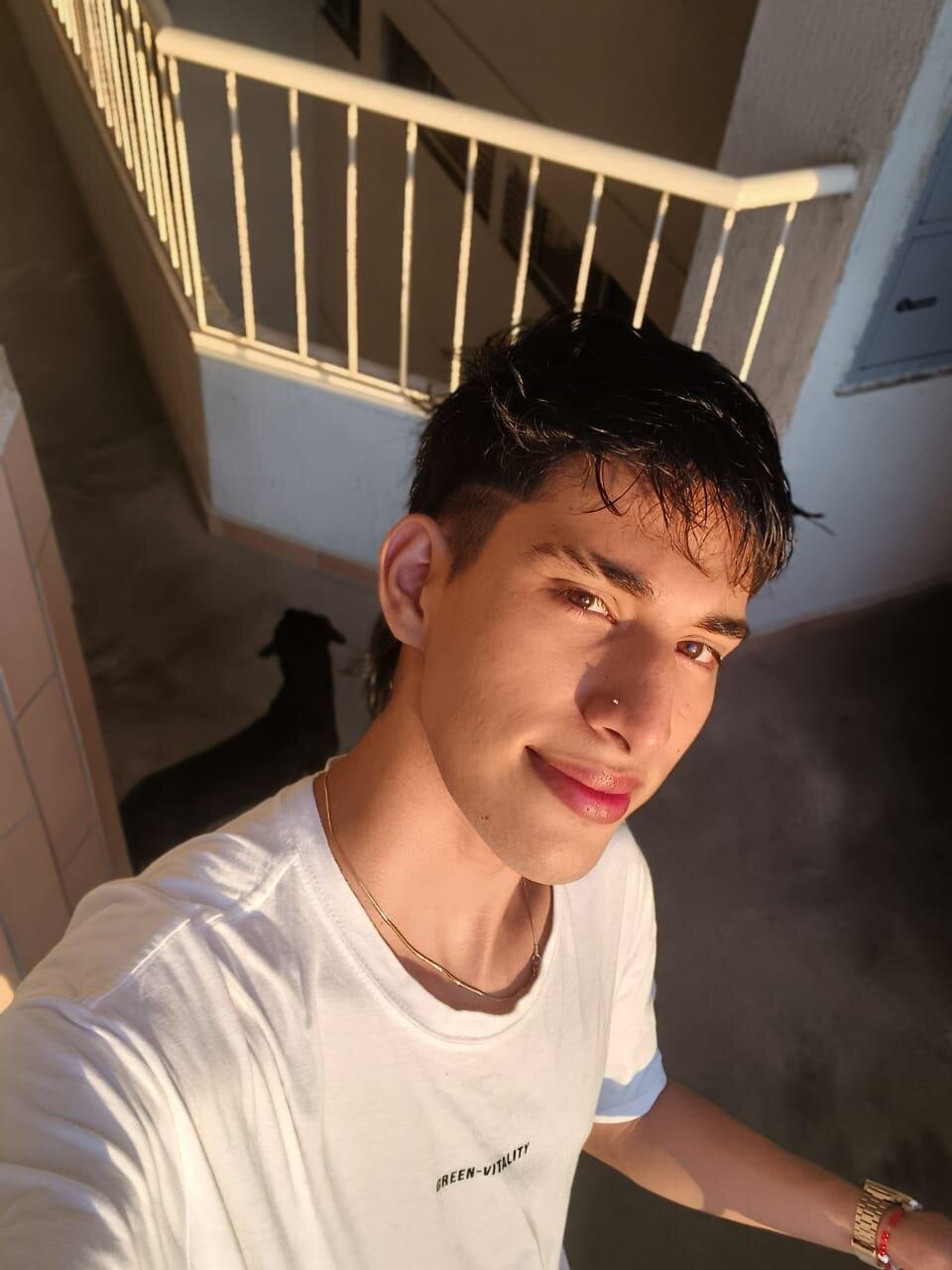 Fer_Phoenix