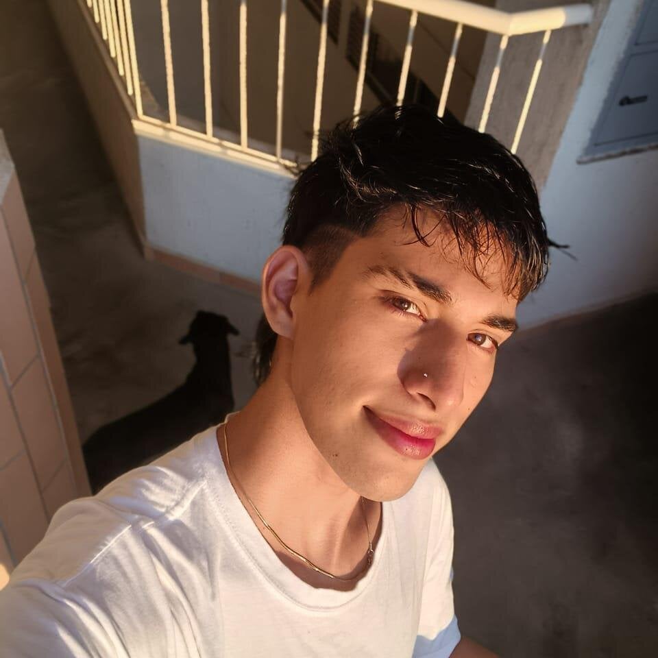 Fer_Phoenix profile