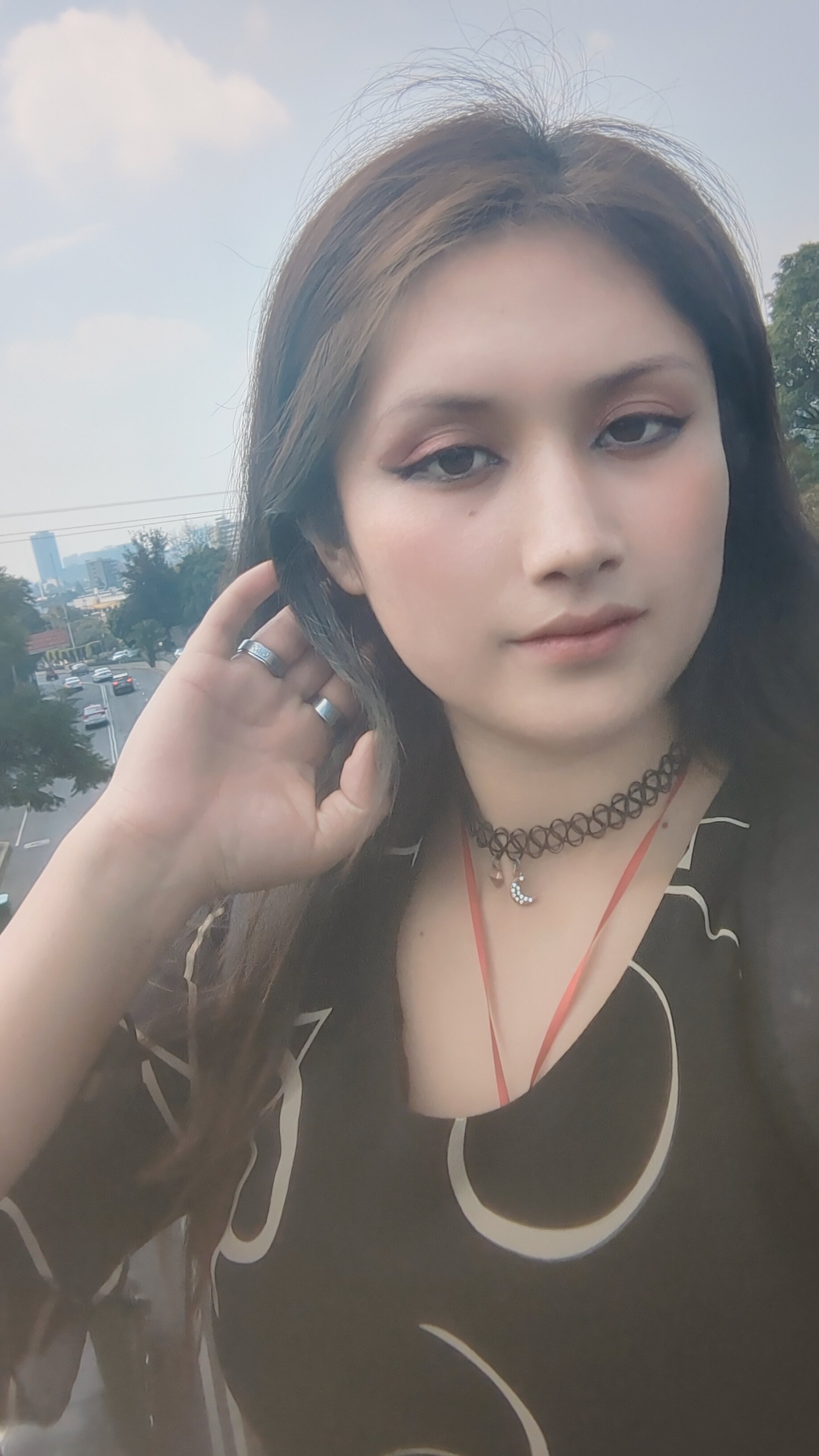 dioneposrt