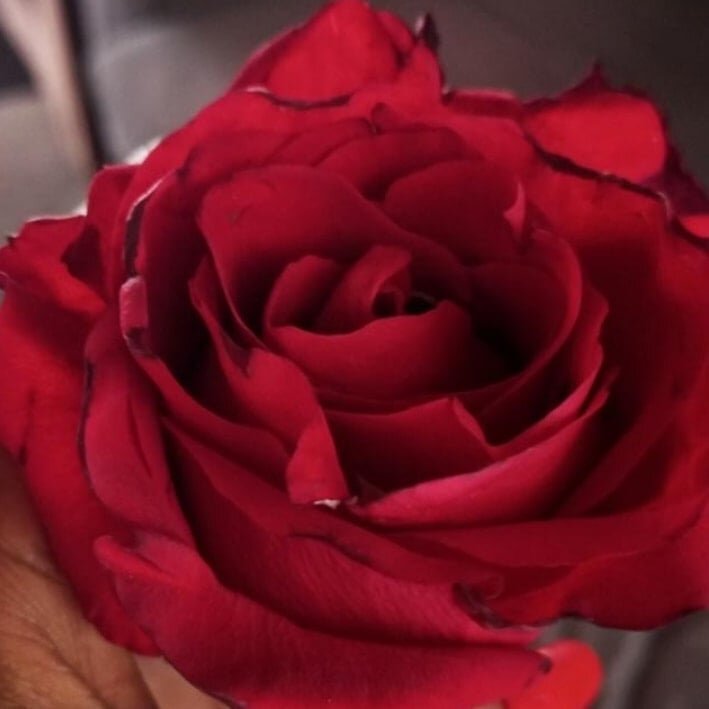 Live sex webcam photo for Pretty_nasty #289504069