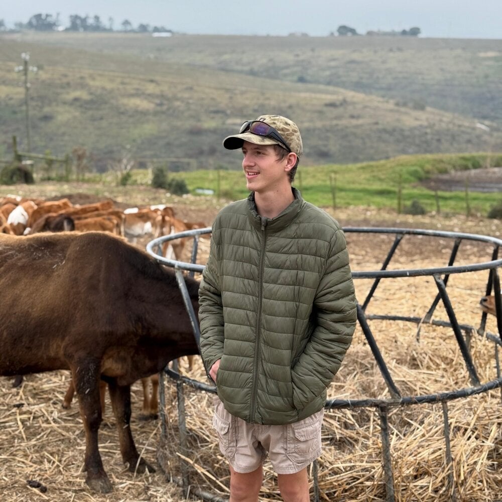 werries6996 from stripchat