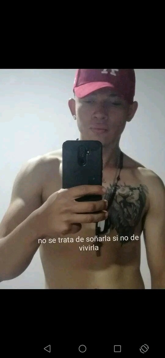 dlrlaverg