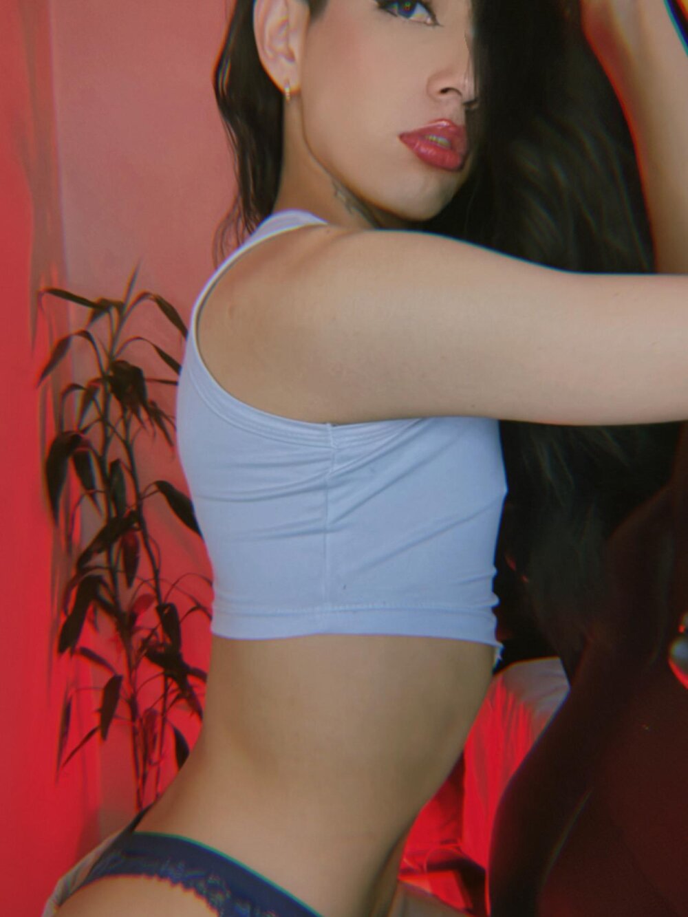 litz81 profile
