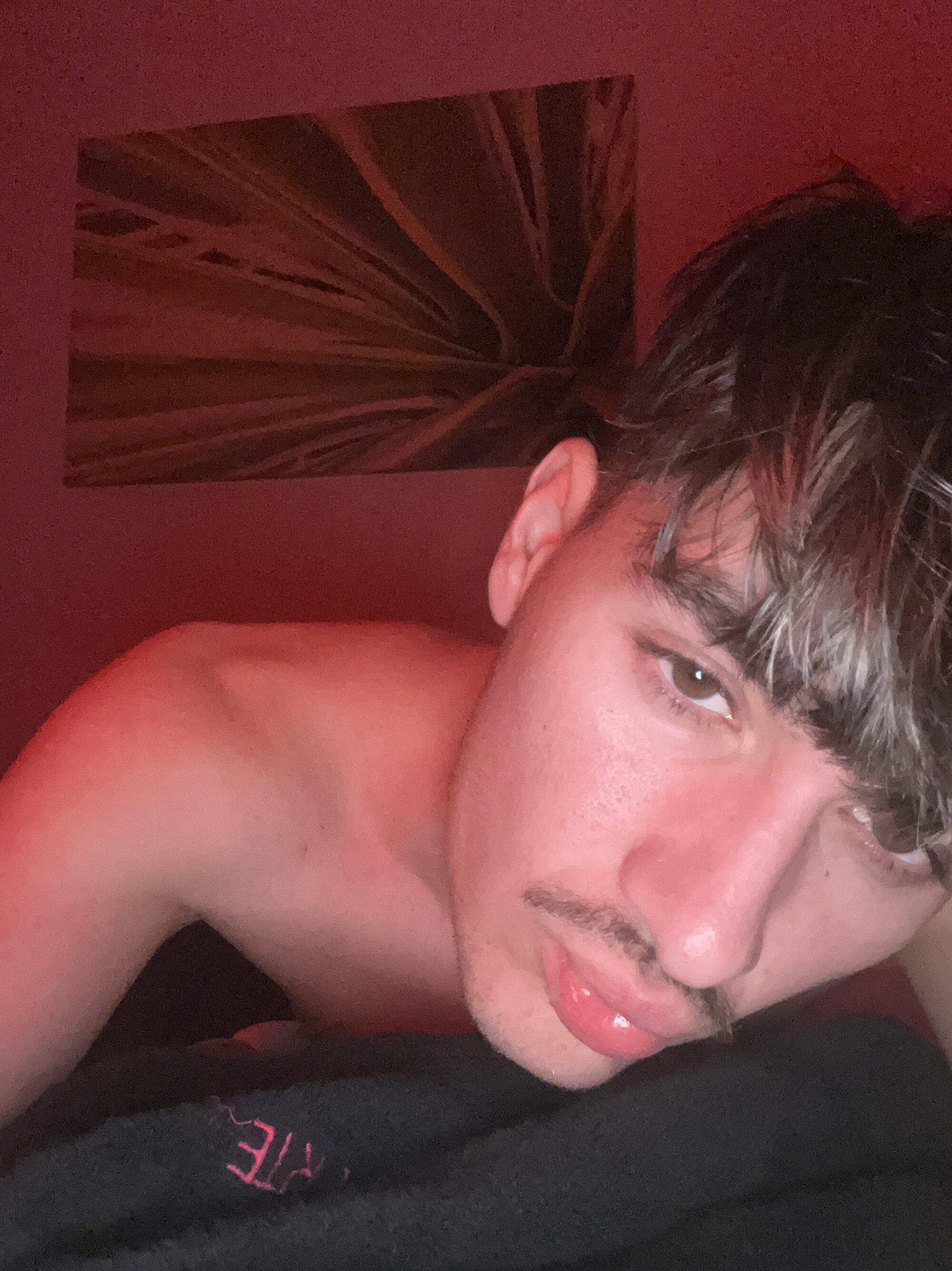 Avocadosono0