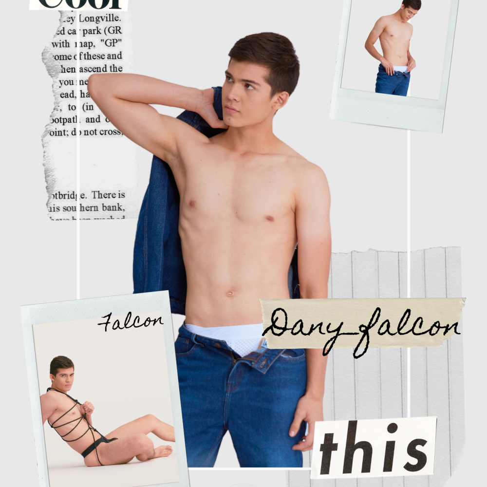 dany_falcon profile