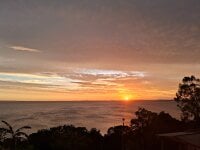 brunes44's webcam live show