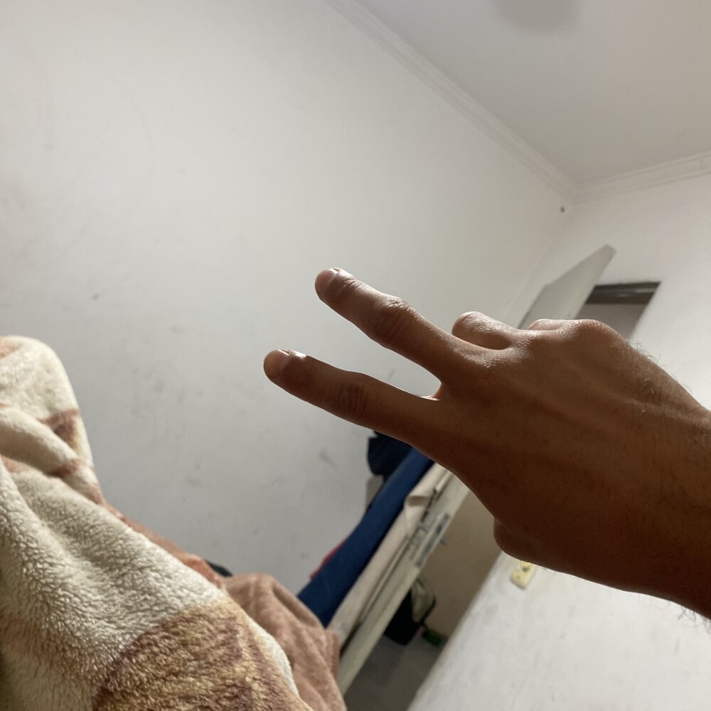 gat0_gata's Offline XXX Chat