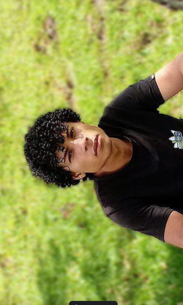 lei_z- profile