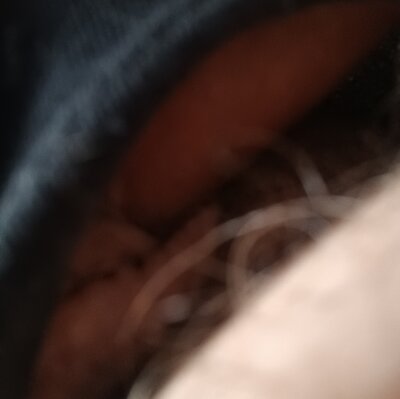 safadao3323 from stripchat
