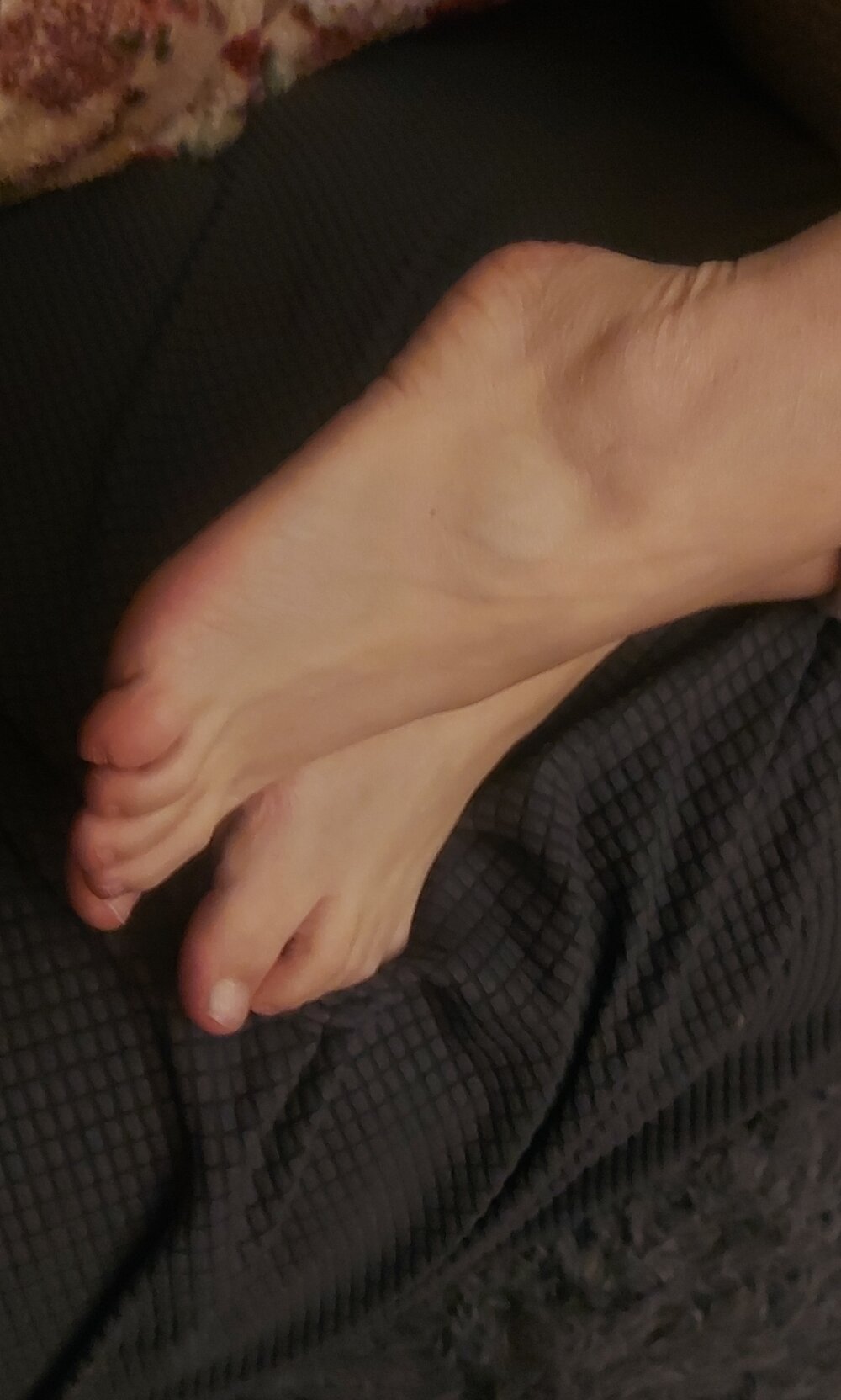 xDaisyxEvanx profile