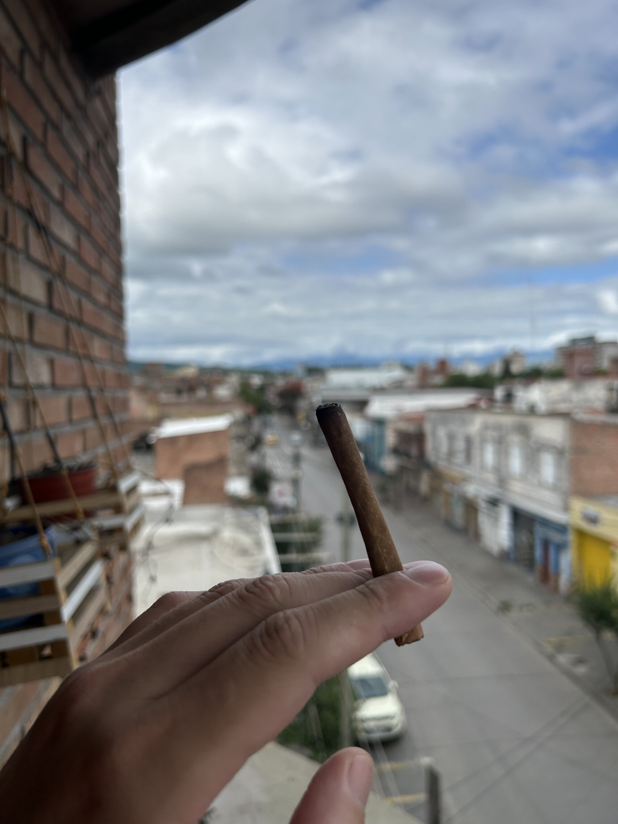 PetitteAnal