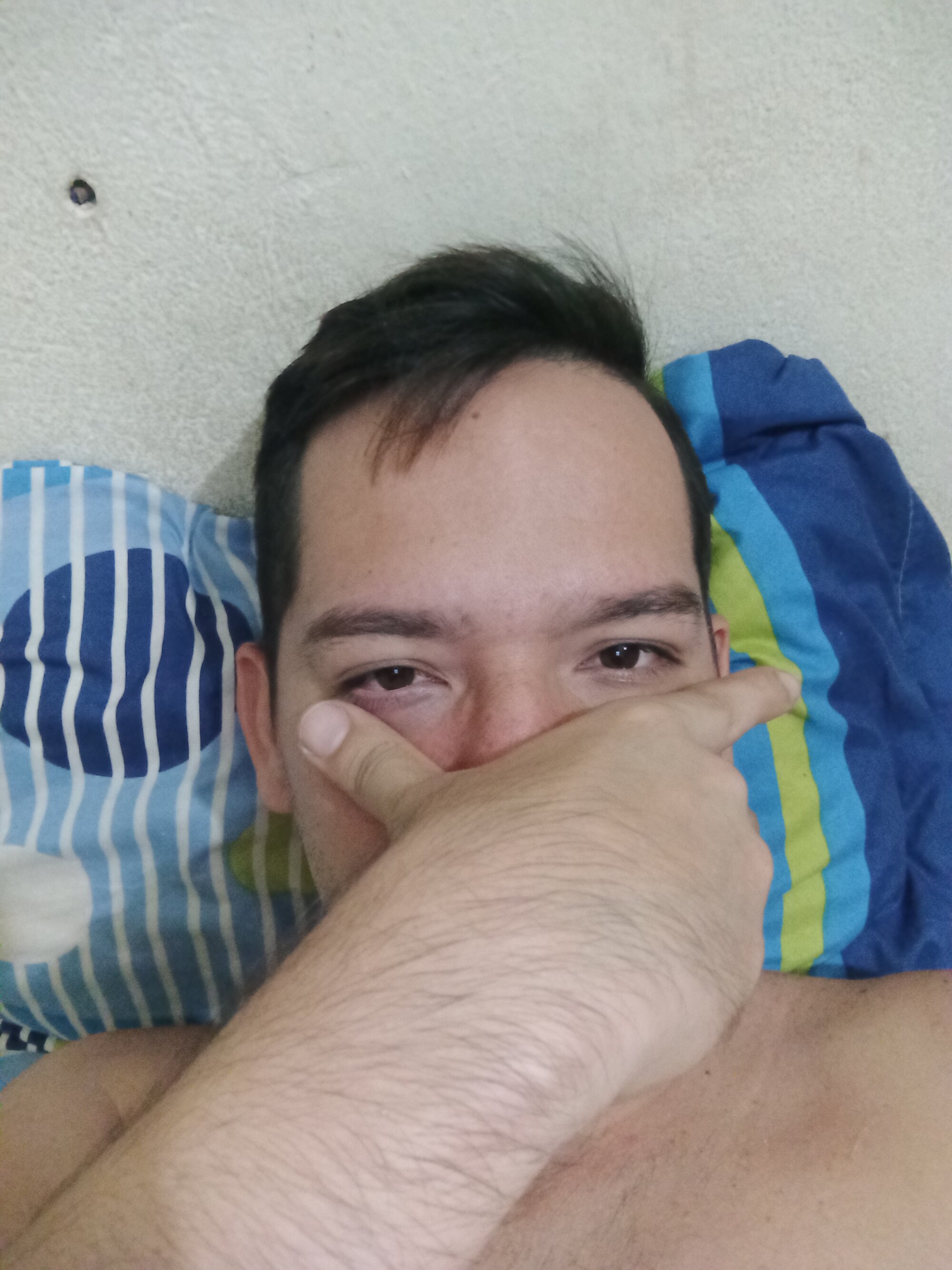 elcaballero03