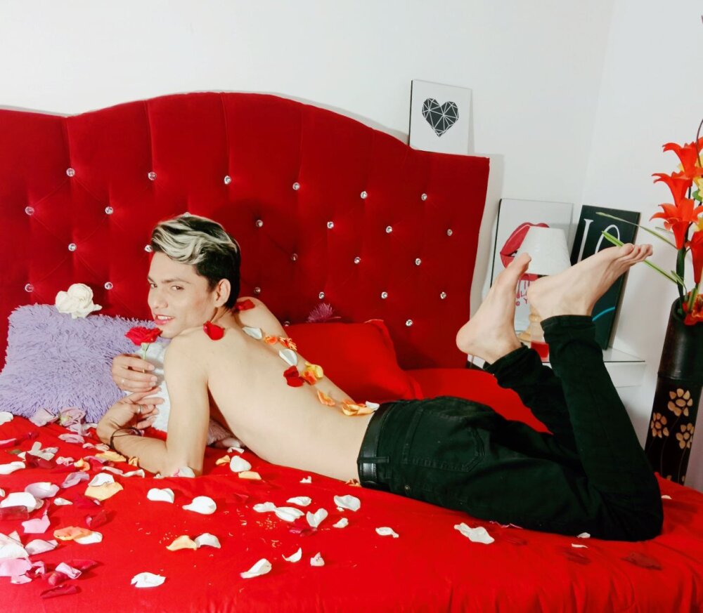 HowardHart Cameră chat offline