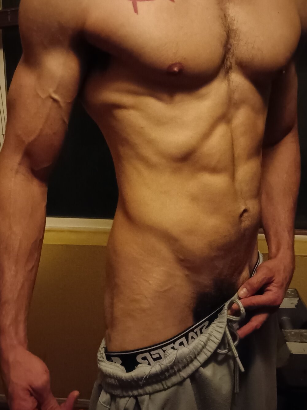 paidbat from stripchat