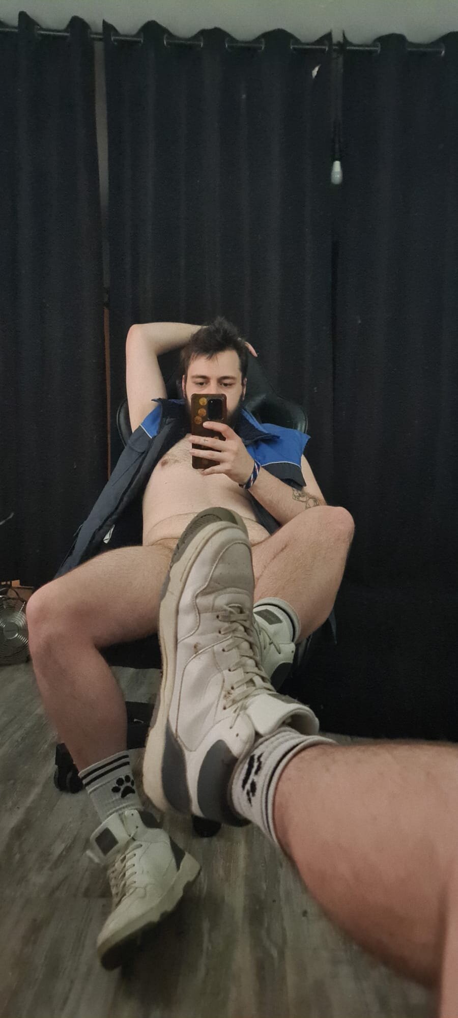 German_Young_Bear