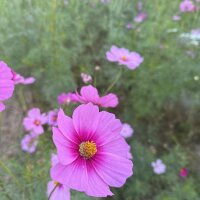 Chat XXX Live 69_yuna_69