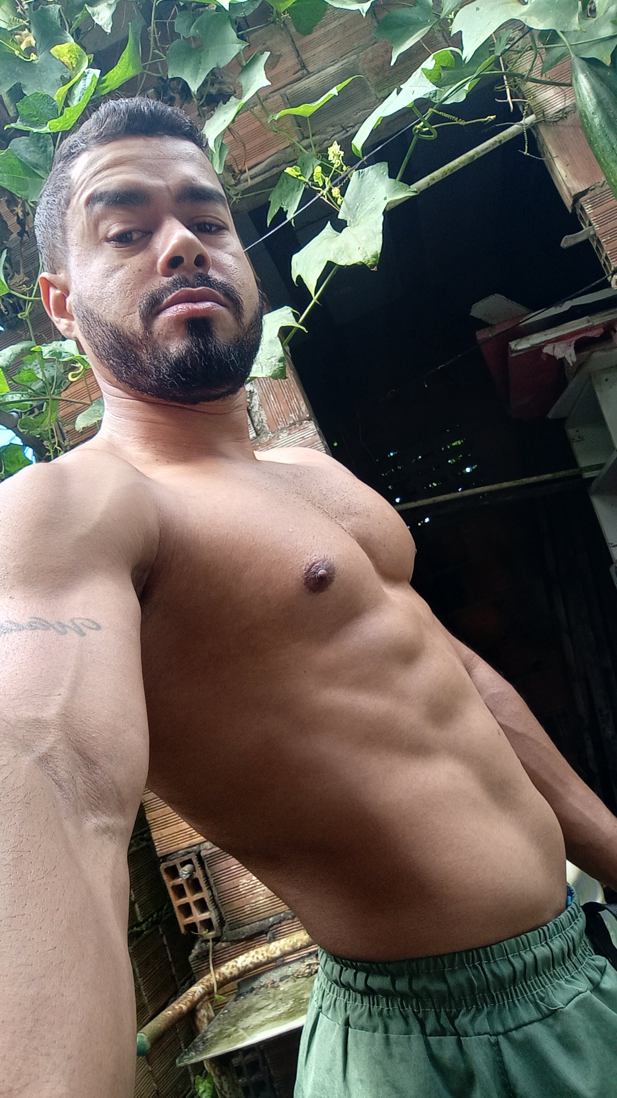 Moreno331391